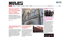 Desktop Screenshot of manchestermule.com